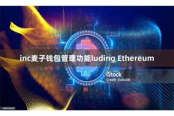 inc麦子钱包管理功能luding Ethereum