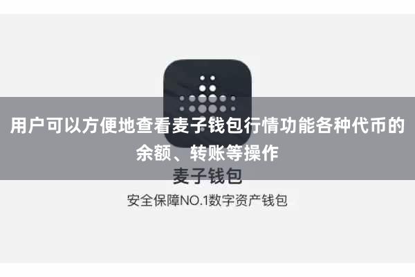 用户可以方便地查看麦子钱包行情功能各种代币的余额、转账等操作