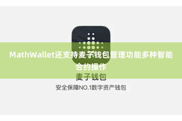 MathWallet还支持麦子钱包管理功能多种智能合约操作