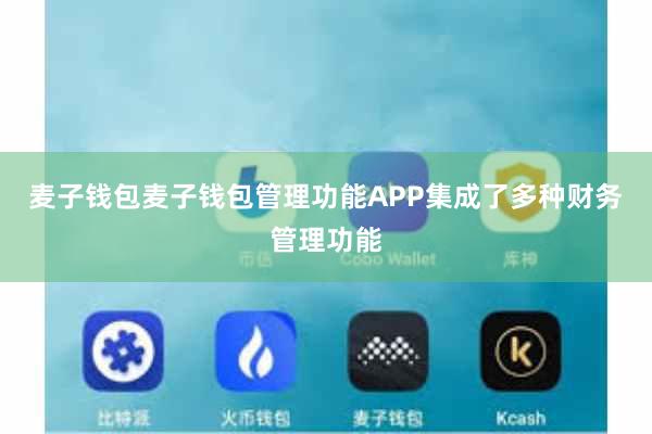 麦子钱包麦子钱包管理功能APP集成了多种财务管理功能