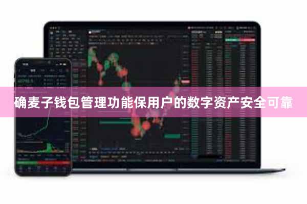 确麦子钱包管理功能保用户的数字资产安全可靠