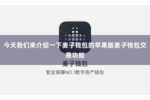 今天我们来介绍一下麦子钱包的苹果版麦子钱包交易功能