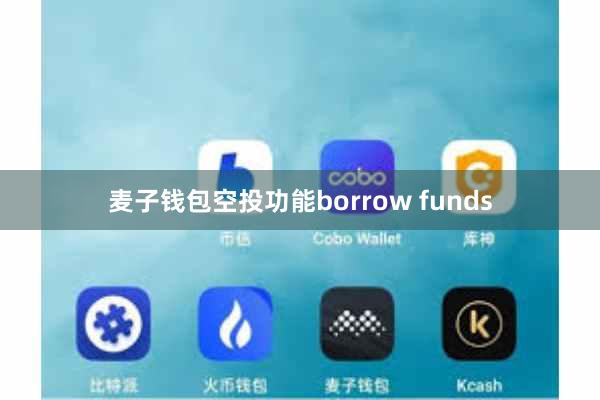 麦子钱包空投功能borrow funds