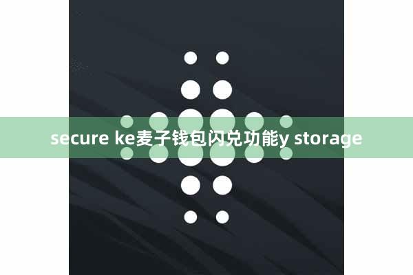 secure ke麦子钱包闪兑功能y storage