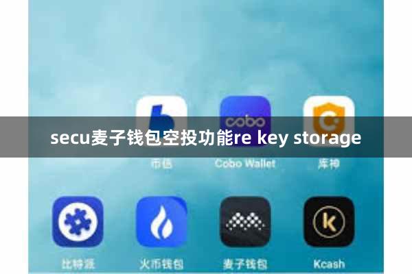 secu麦子钱包空投功能re key storage