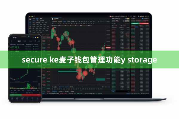secure ke麦子钱包管理功能y storage