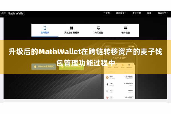 升级后的MathWallet在跨链转移资产的麦子钱包管理功能过程中