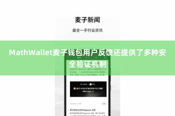 MathWallet麦子钱包用户反馈还提供了多种安全验证机制