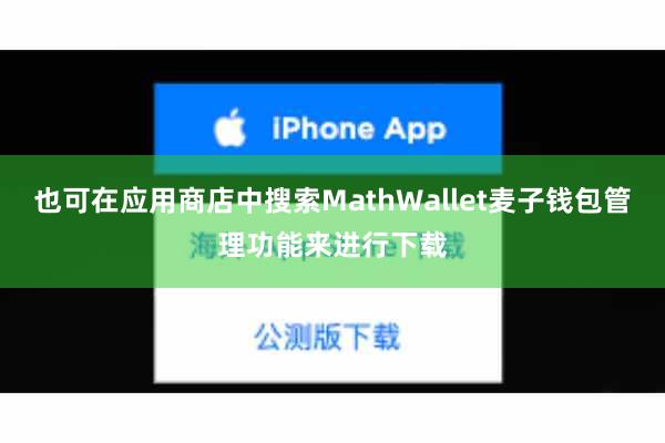 也可在应用商店中搜索MathWallet麦子钱包管理功能来进行下载