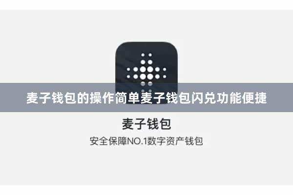 麦子钱包的操作简单麦子钱包闪兑功能便捷