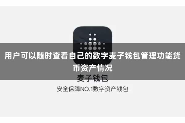 用户可以随时查看自己的数字麦子钱包管理功能货币资产情况