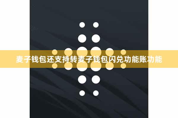 麦子钱包还支持转麦子钱包闪兑功能账功能