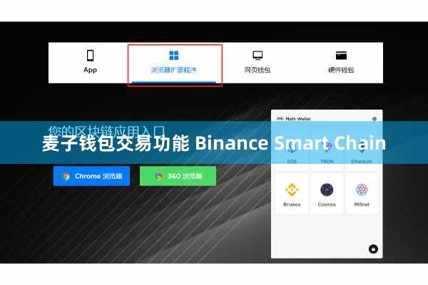 麦子钱包交易功能 Binance Smart Chain