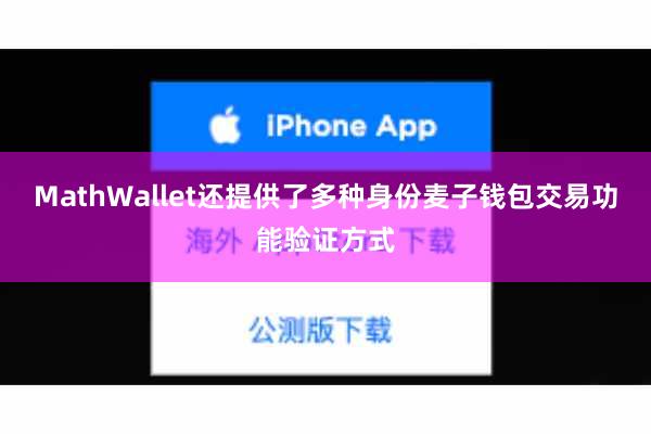 MathWallet还提供了多种身份麦子钱包交易功能验证方式