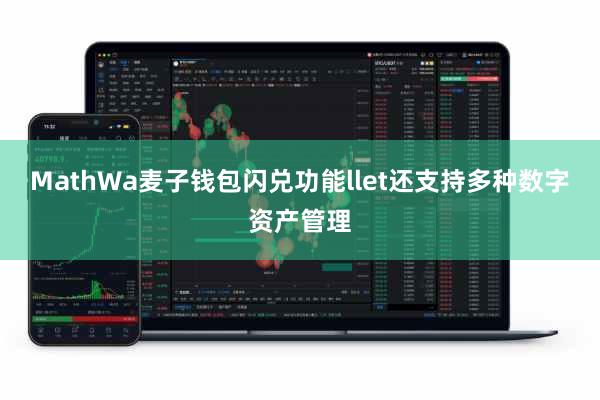 MathWa麦子钱包闪兑功能llet还支持多种数字资产管理